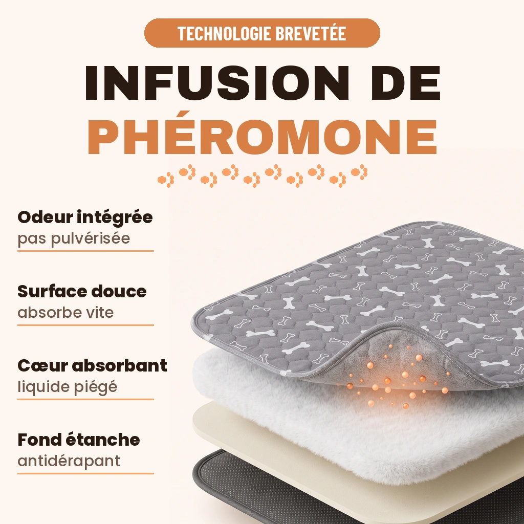 Infusion de phéromone brevetée, vue en coupe