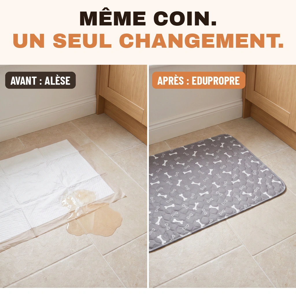 Avant et après, même coin