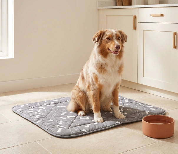 Chien assis sur son tapis EduPropre dans la cuisine