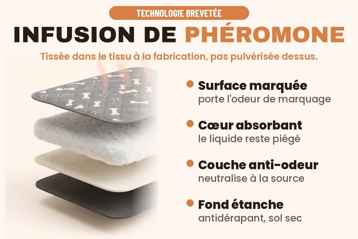 Coupe du tapis EduPropre : 4 couches
