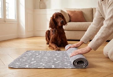 Le tapis EduPropre déroulé au sol
