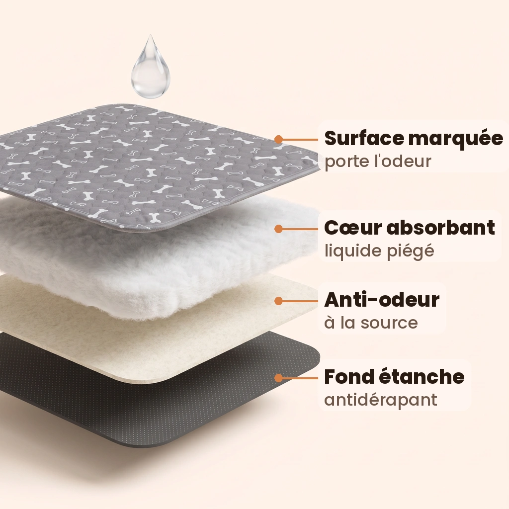 Les 4 couches du tapis