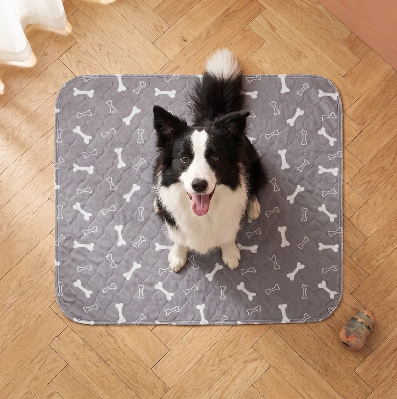 Le chien assis au centre du tapis, vu de haut