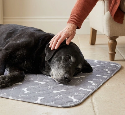 Le chien âgé couché sur son tapis