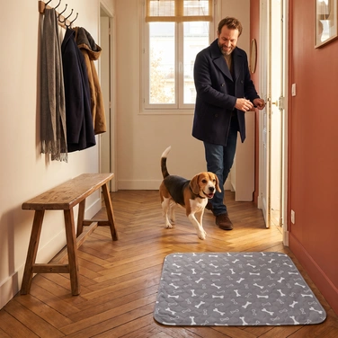 Le retour à la maison